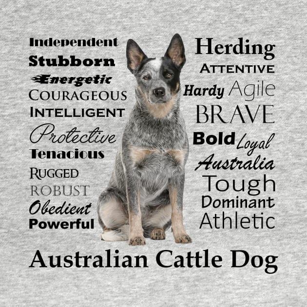 Australian Cattle Dog Traits by You Had Me At Woof